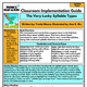 Syllable Types Lesson Plan